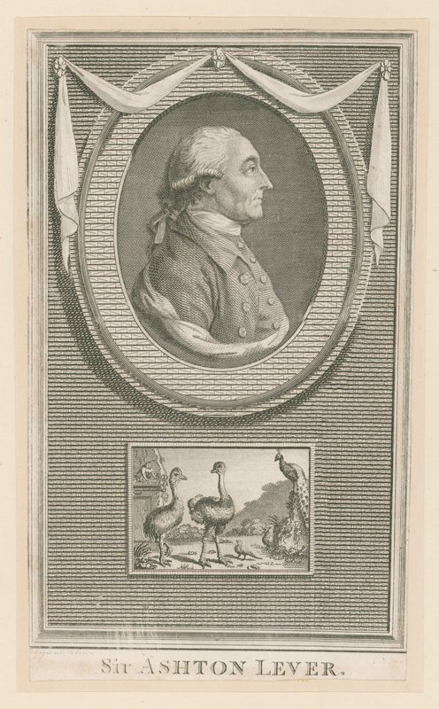 Sir Ashton Lever von English School