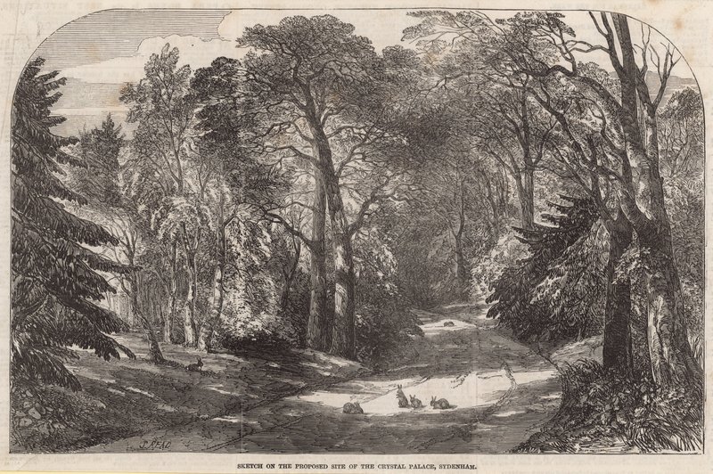 Skizze des vorgeschlagenen Standorts des Crystal Palace, Sydenham von English School