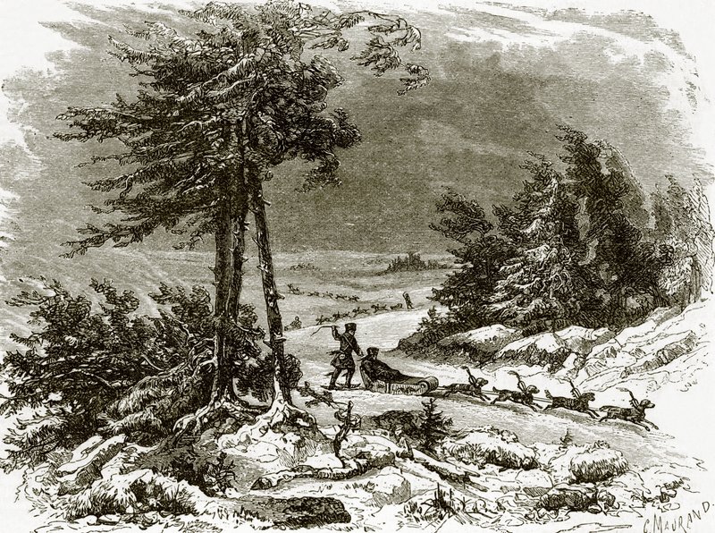 Schlitten und Hunde am Amur von English School