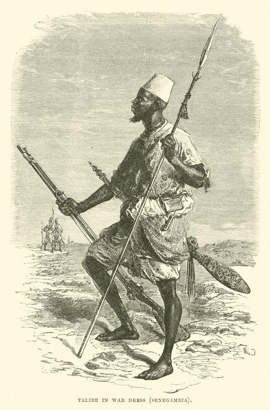 Talibe im Kriegskleid, Senegambia von English School