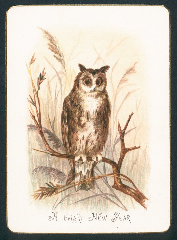 Waldkauz, Neujahrskarte von English School