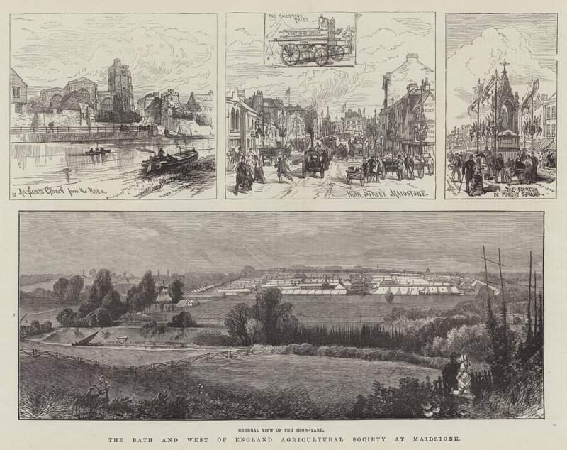 Die Bath und West of England Agricultural Society in Maidstone (Stich) von English School
