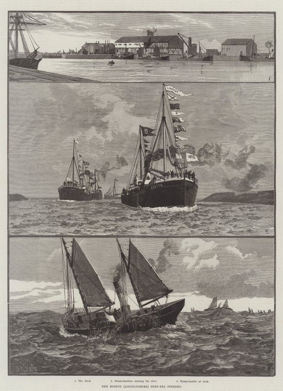 Die Boston (Lincolnshire) Tiefsee-Fischerei (Gravur) von English School