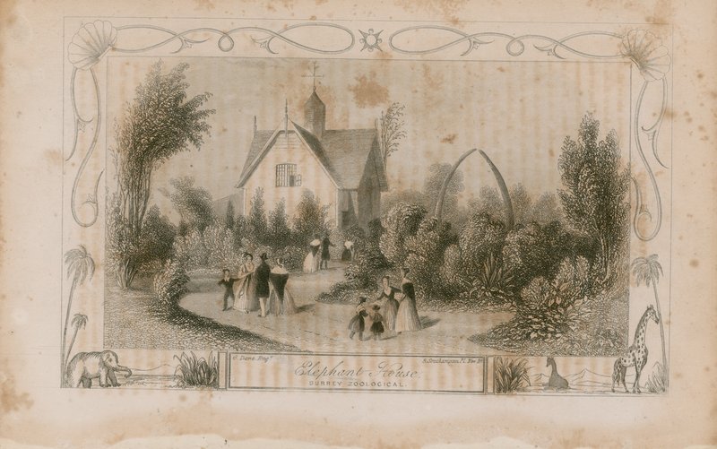 Das Elefantenhaus von English School