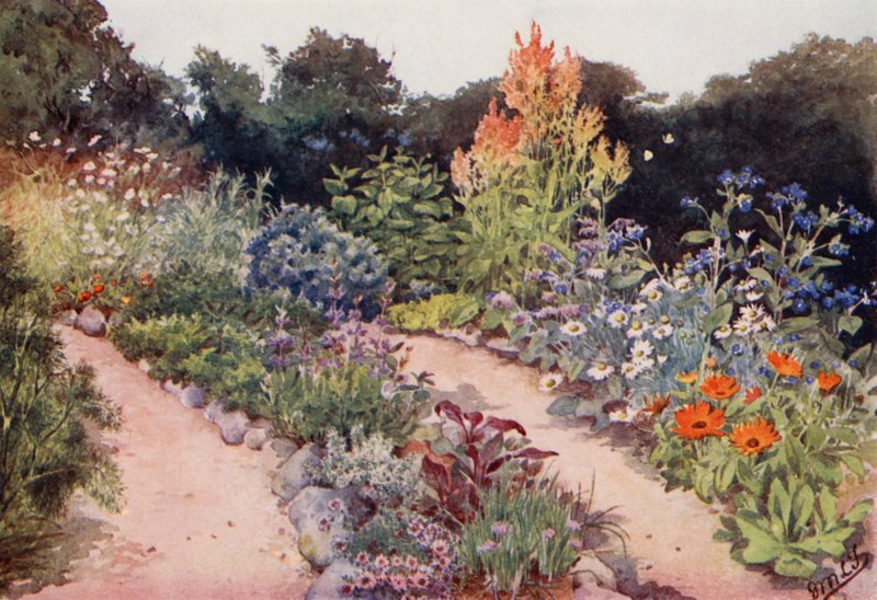 Der Kräutergarten: Kräuterbeete im Juni von English School