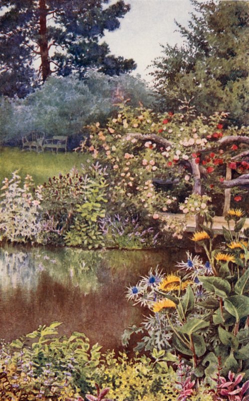 Der Kräutergarten: Kräuter am Wasser von English School
