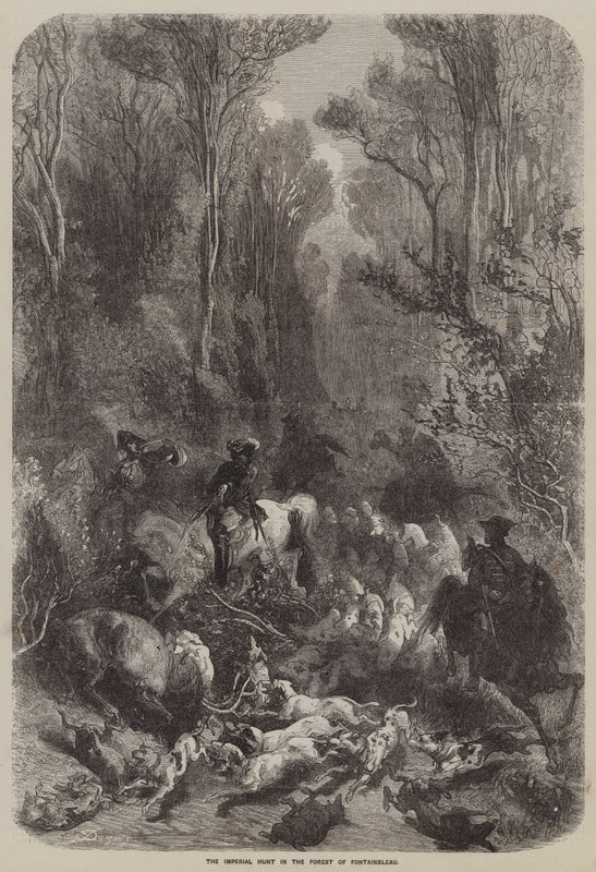 Die kaiserliche Jagd im Wald von Fontainebleau (Gravur) von English School