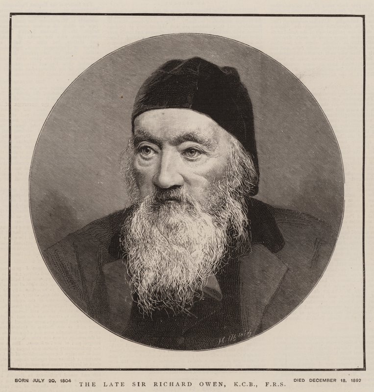Der verstorbene Sir Richard Owen, KCB, FRS (Gravur) von English School