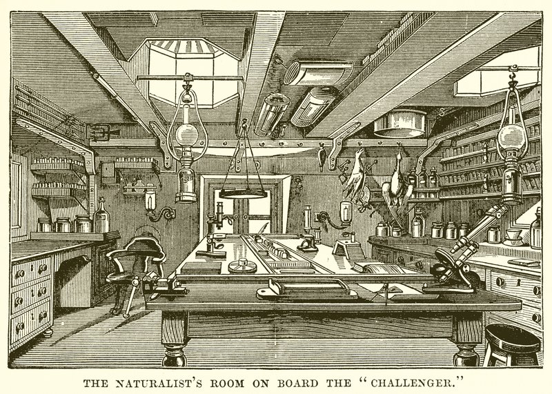 Das Zimmer des Naturforschers an Bord der Challenger von English School