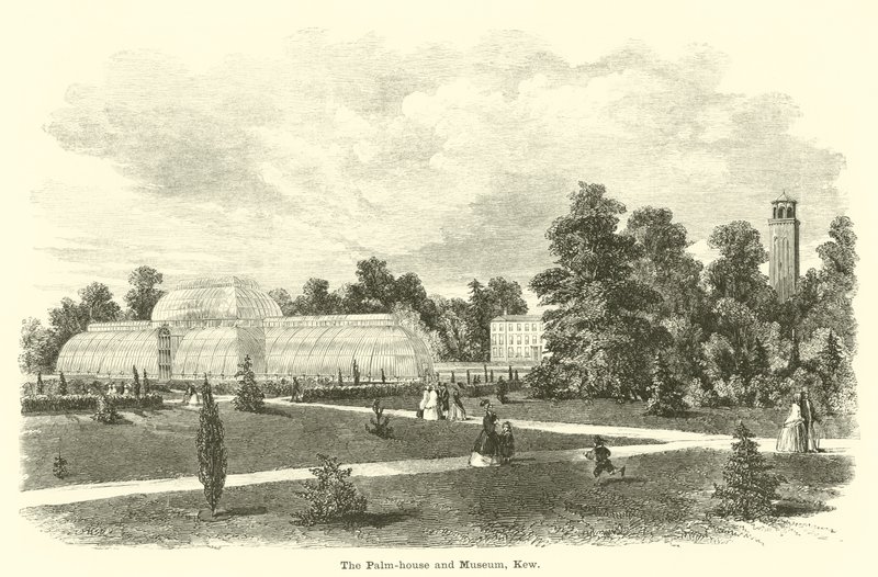 Das Palmenhaus und Museum, Kew von English School