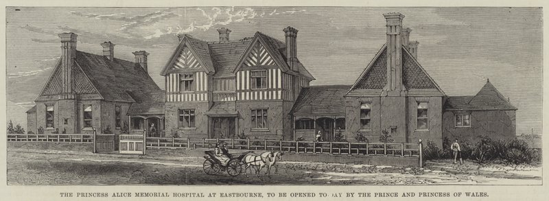 Das Princess Alice Memorial Hospital in Eastbourne, heute eröffnet vom Prinzen und der Prinzessin von Wales (Gravur) von English School