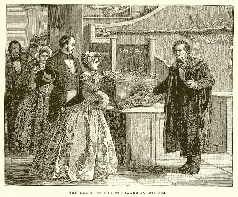 Die Königin im Woodwardian Museum von English School