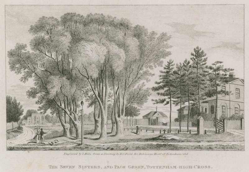 Die Sieben Schwestern und Page Green, Tottenham High-Cross, London von English School