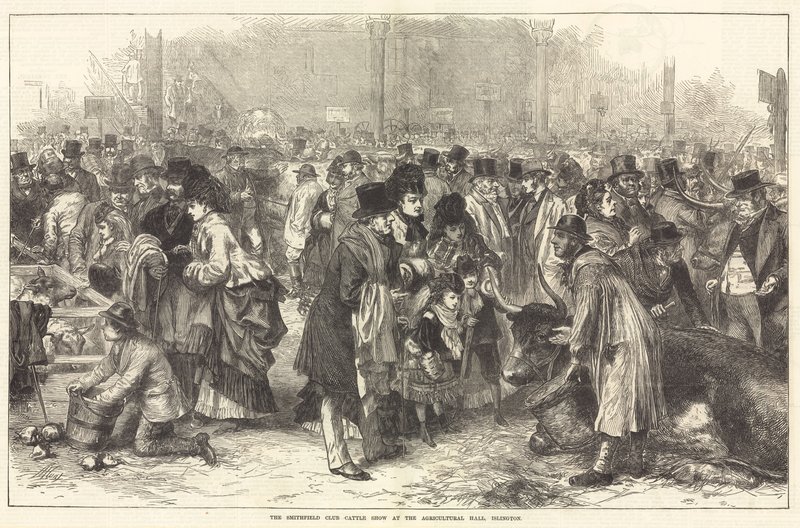 Die Smithfield Club Viehschau in der Landwirtschaftshalle, Islington von English School