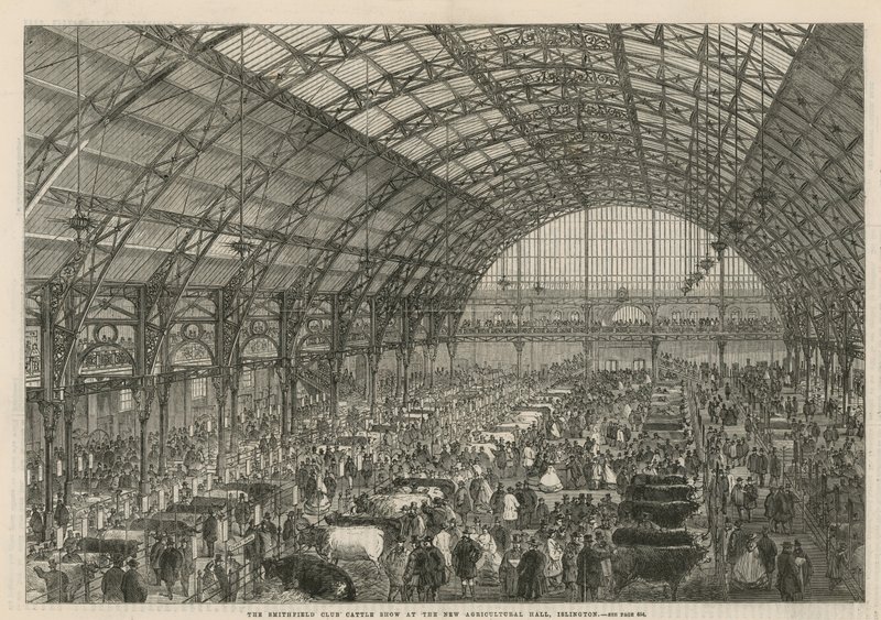 Die Smithfield Club Viehschau in der neuen Landwirtschaftshalle von English School