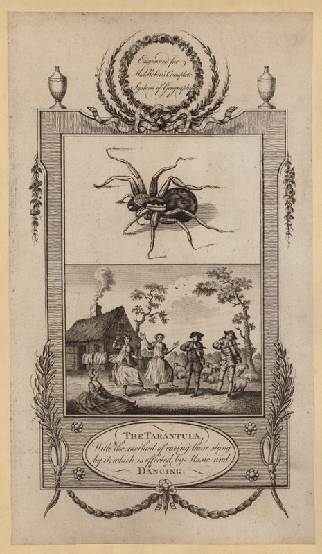 Die Tarantel, mit der Methode, die von ihr Gestochene durch Musik und Tanz zu heilen (Stich) von English School