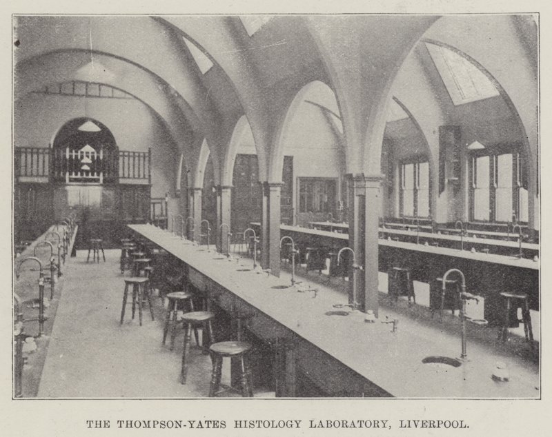 Das Thompson-Yates-Histologielabor, Liverpool (Gravur) von English School