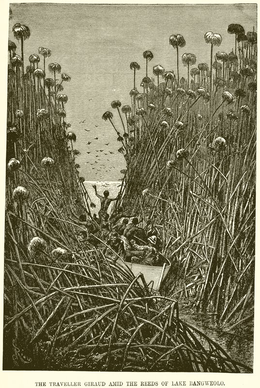 Der Reisende Giraud im Schilf des Bangweolo-Sees von English School