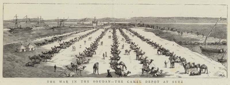 Der Krieg im Sudan, das Kameldepot in Suez (Stich) von English School