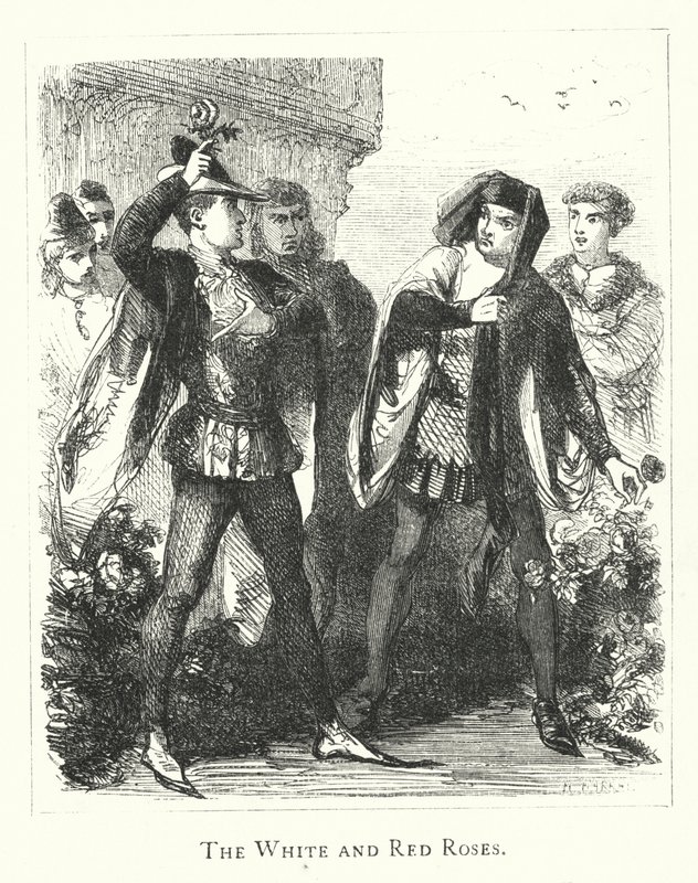 Die weißen und roten Rosen (Gravur) von English School
