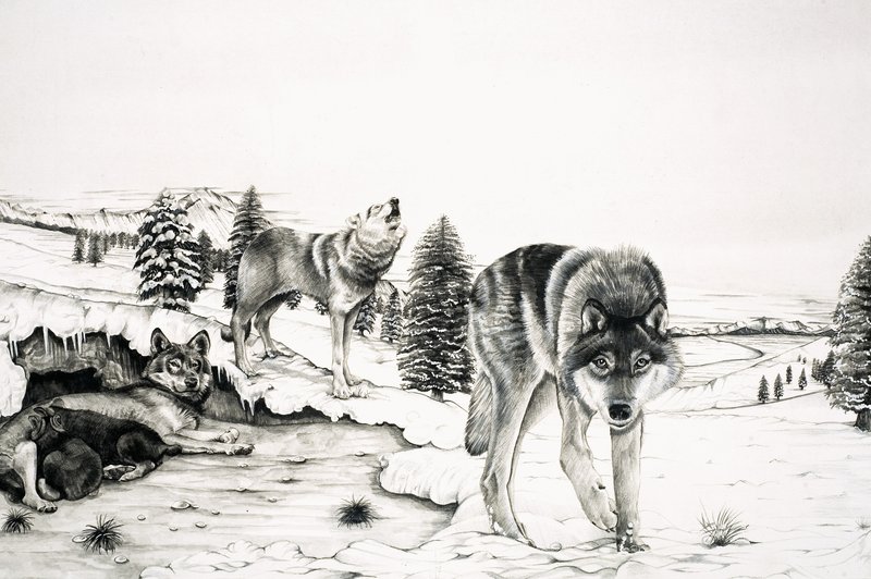 Die Welt der Natur: Der 