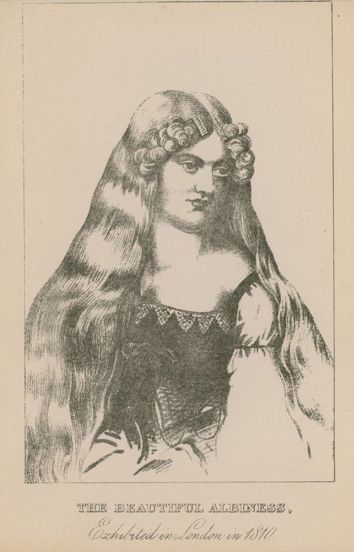Die schöne Albino, ausgestellt in London im Jahr 1810 von English School