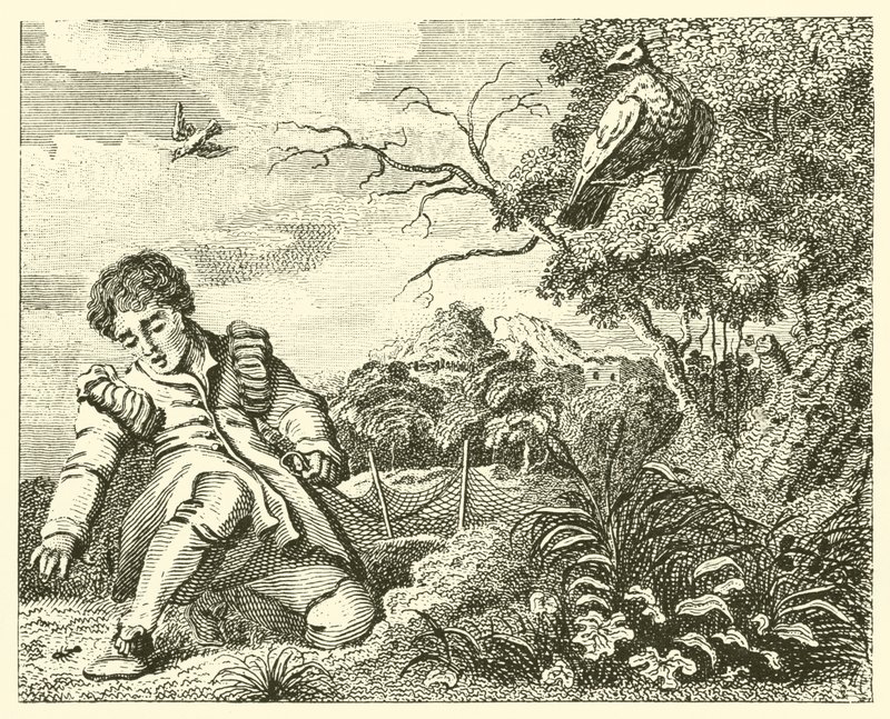 Die Taube und die Ameise (Gravur) von English School