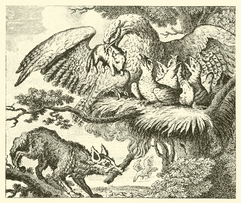Der Adler und der Fuchs von English School