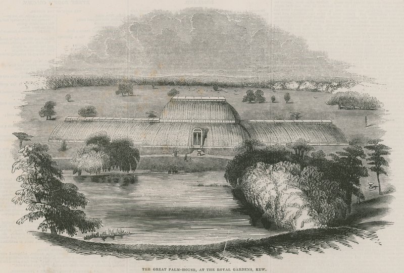 Das große Palmenhaus in den Königlichen Gärten, Kew, London von English School