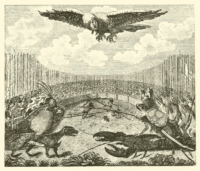 Der Drachen, der Frosch und die Maus von English School