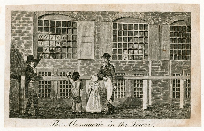 Die Menagerie im Tower of London um 1820 von English School