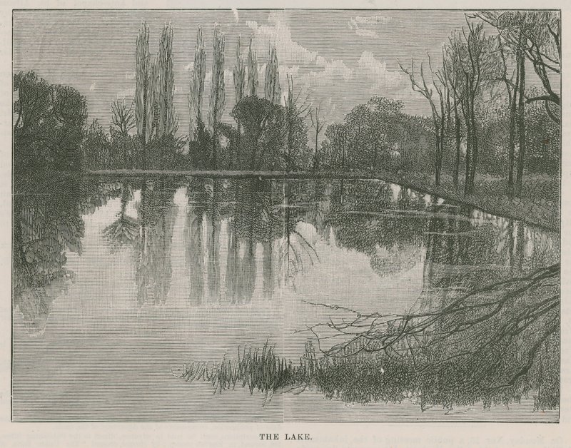 Der neue öffentliche Park in Highgate: der See von English School