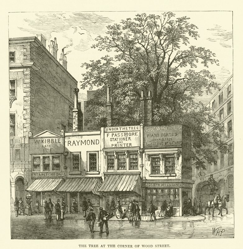 Der Baum an der Ecke der Wood Street von English School