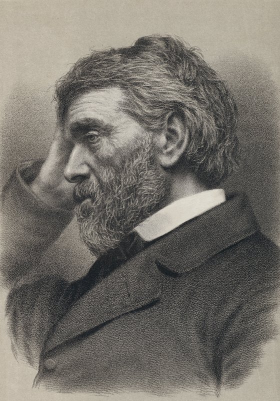Thomas Carlyle (Gravur) von English School