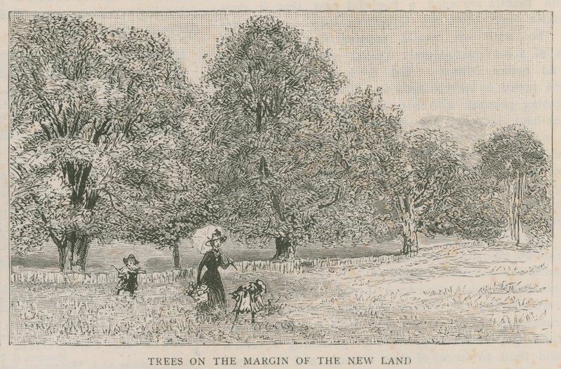 Bäume am Rand des neuen Landes von English School