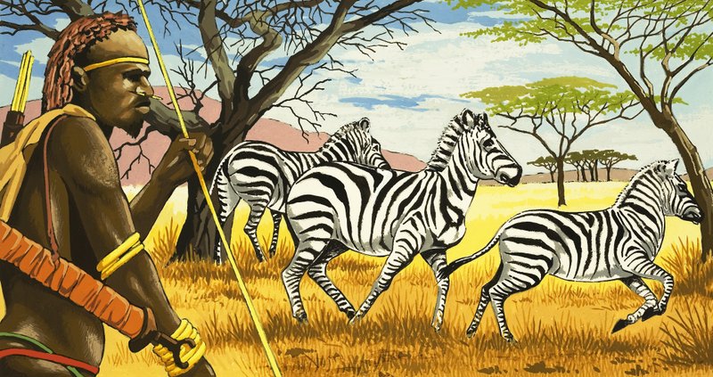 Stammesangehöriger und Zebras von English School