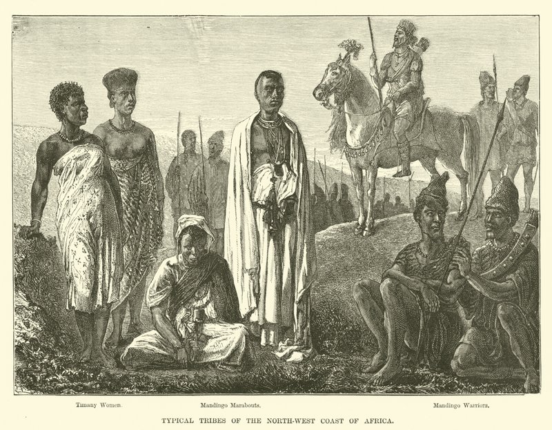 Typische Stämme der Nordwestküste Afrikas von English School