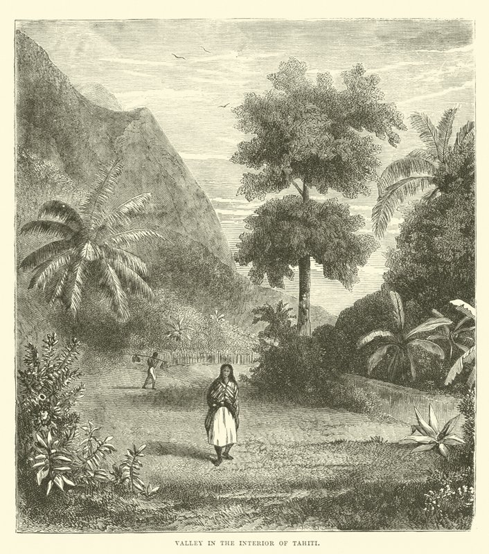 Tal im Inneren von Tahiti von English School