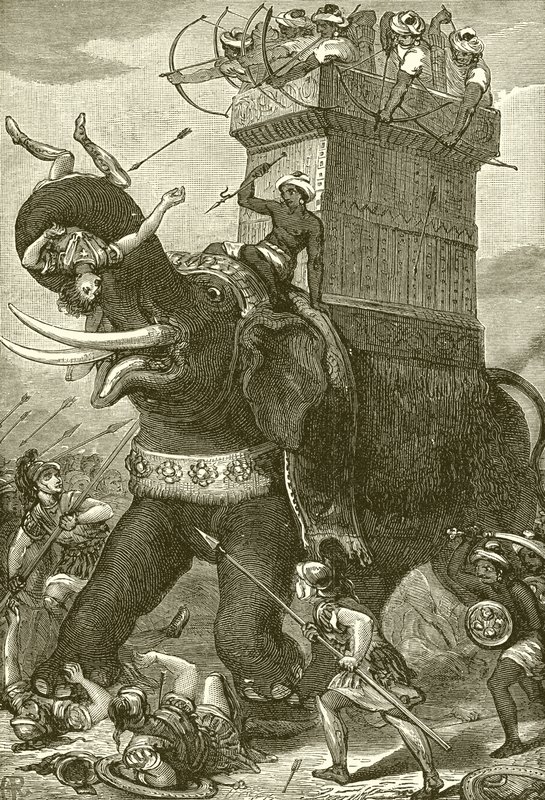 Kriegselefant in der Armee von König Darius von English School