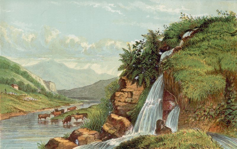 Wasserfall und Vieh von English School