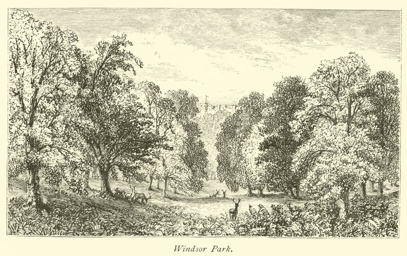 Windsor Park von English School