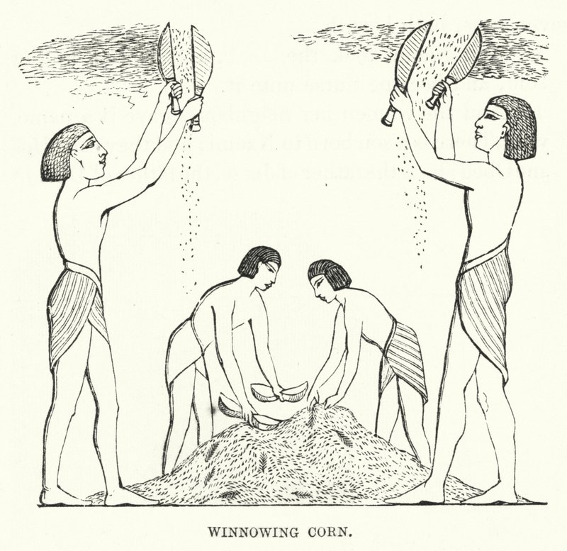Korn worfeln (Gravur) von English School