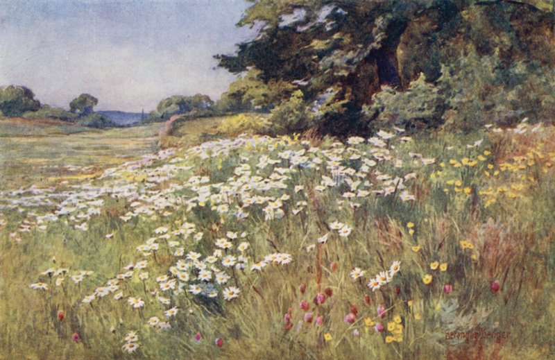 Sonnenschein im Wiesenland von Ernest Benger or Berenger