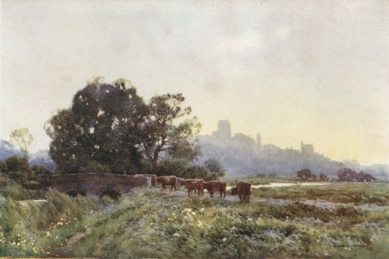 Dorchester von den Wiesen von Ernest William Haslehust
