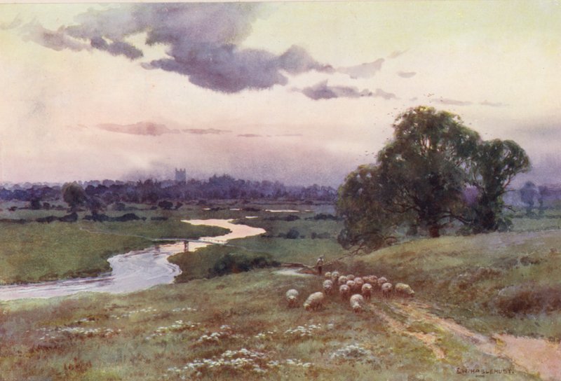 Themse: Blick vom Eisey Hill von Ernest William Haslehust