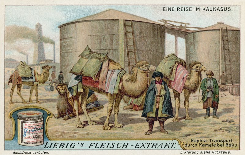 Transport von Naphtha per Kamel in Baku von European School