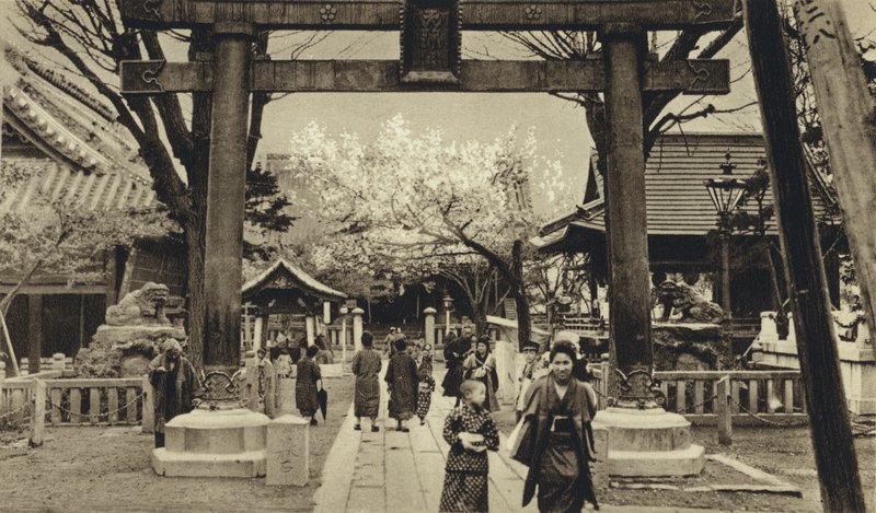 Japan, Straße in Tokio, Zeit der Kirschblüte von European Photographer