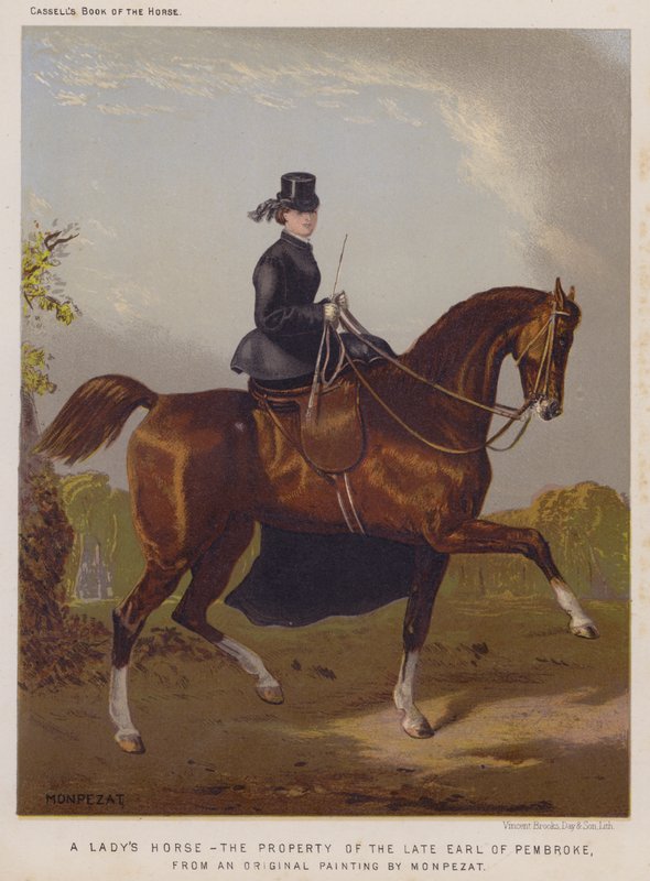 Das Pferd einer Dame, Eigentum des verstorbenen Earl of Pembroke von European School