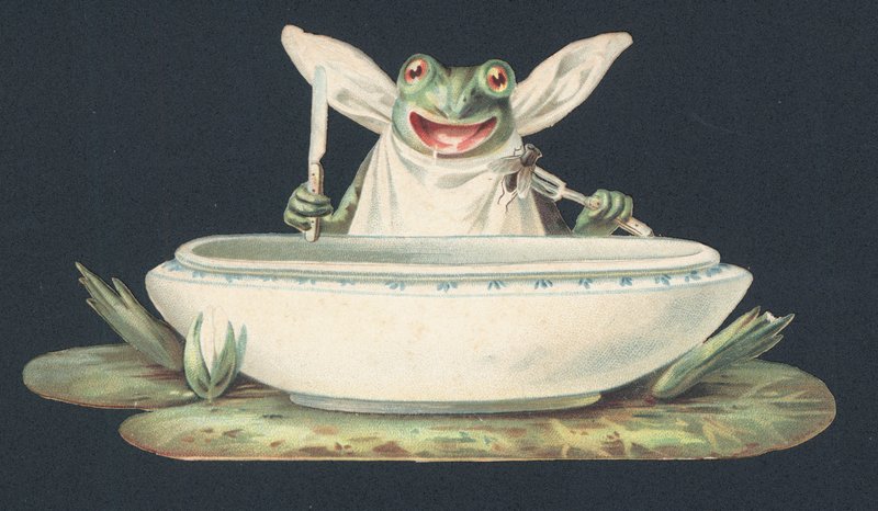 Ein Frosch frisst eine Fliege von European School