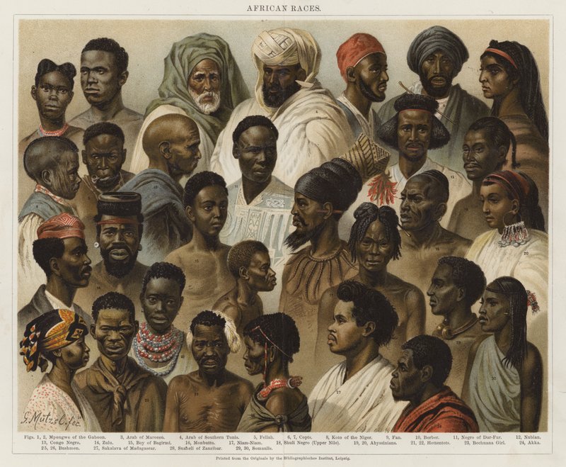 Afrikanische Rassen von European School
